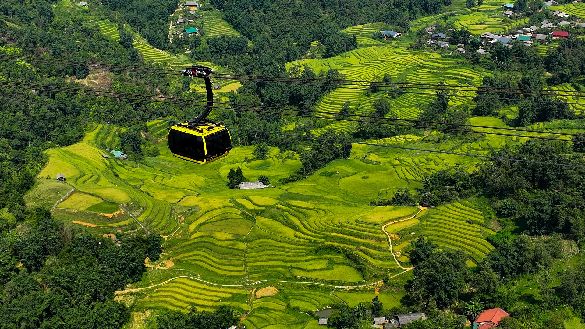 Sapa